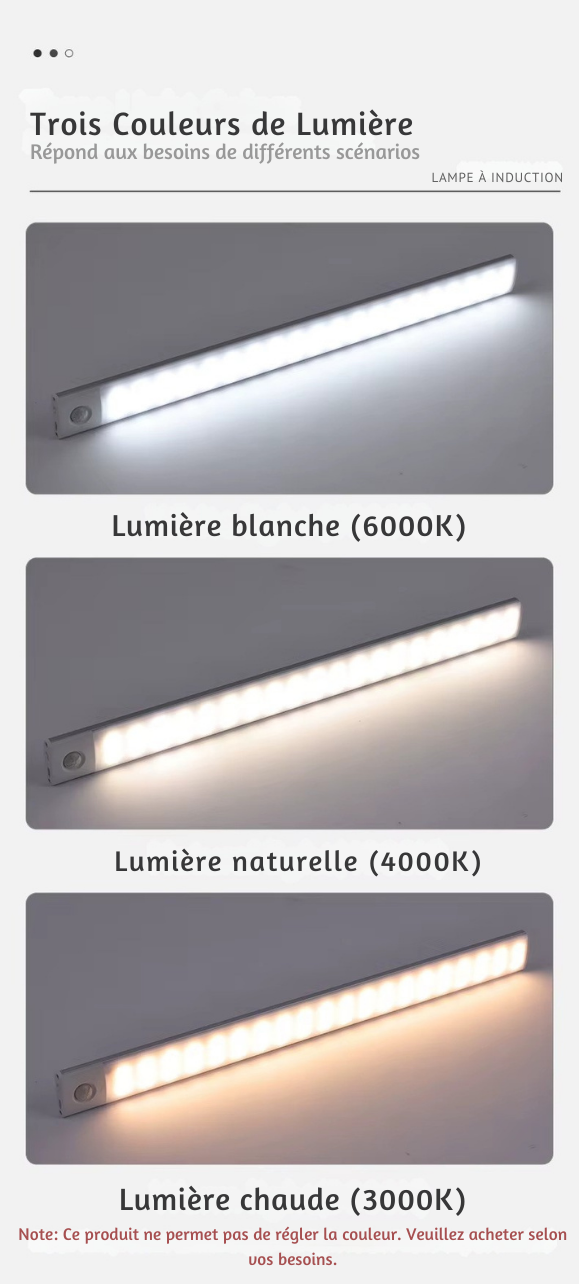 LumiSense Pro [Grande autonomie]